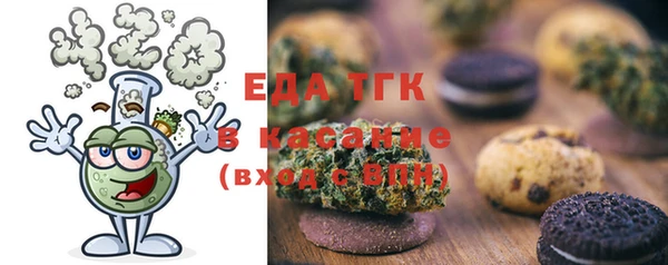 индика Вязники