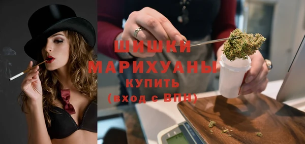 индика Вязники