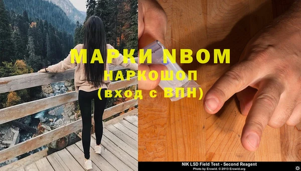 PSILOCYBIN Вязьма