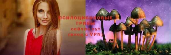 не бодяженный Вяземский