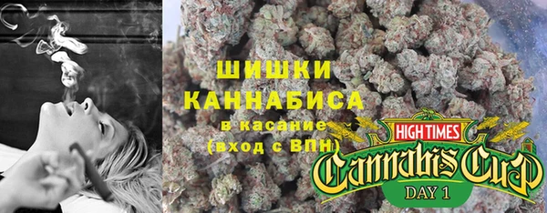 PSILOCYBIN Вязьма