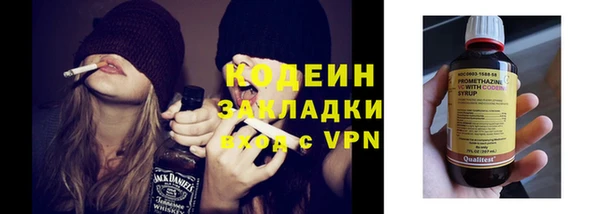 индика Вязники