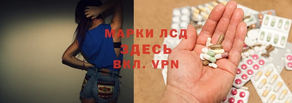 индика Вязники