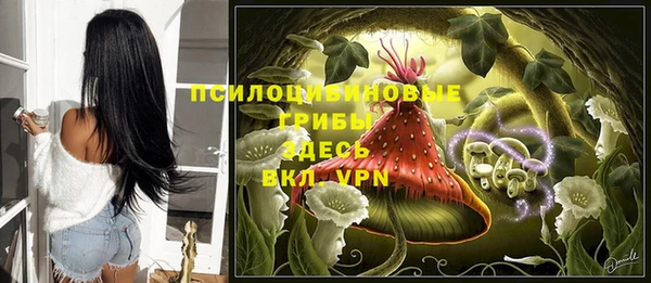 PSILOCYBIN Вязьма