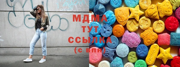 индика Вязники