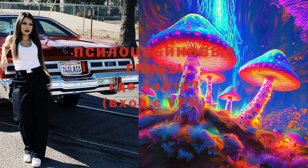 PSILOCYBIN Вязьма