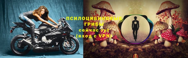 PSILOCYBIN Вязьма