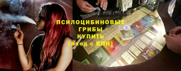 PSILOCYBIN Вязьма