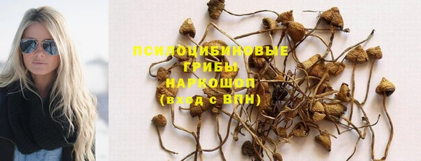индика Вязники