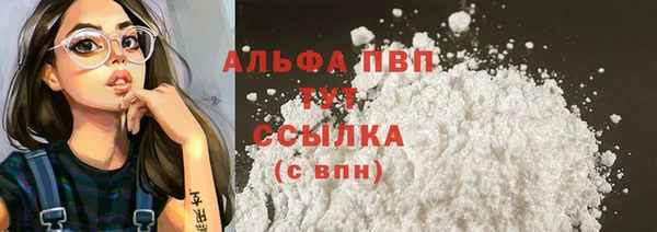 индика Вязники