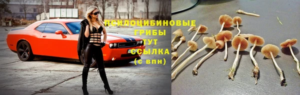 не бодяженный Вяземский