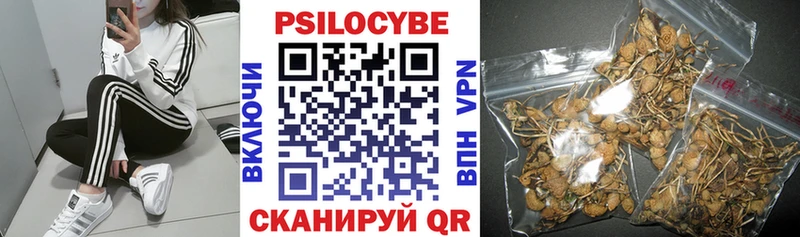 Псилоцибиновые грибы Psilocybe  дарк нет Telegram  Владимир 